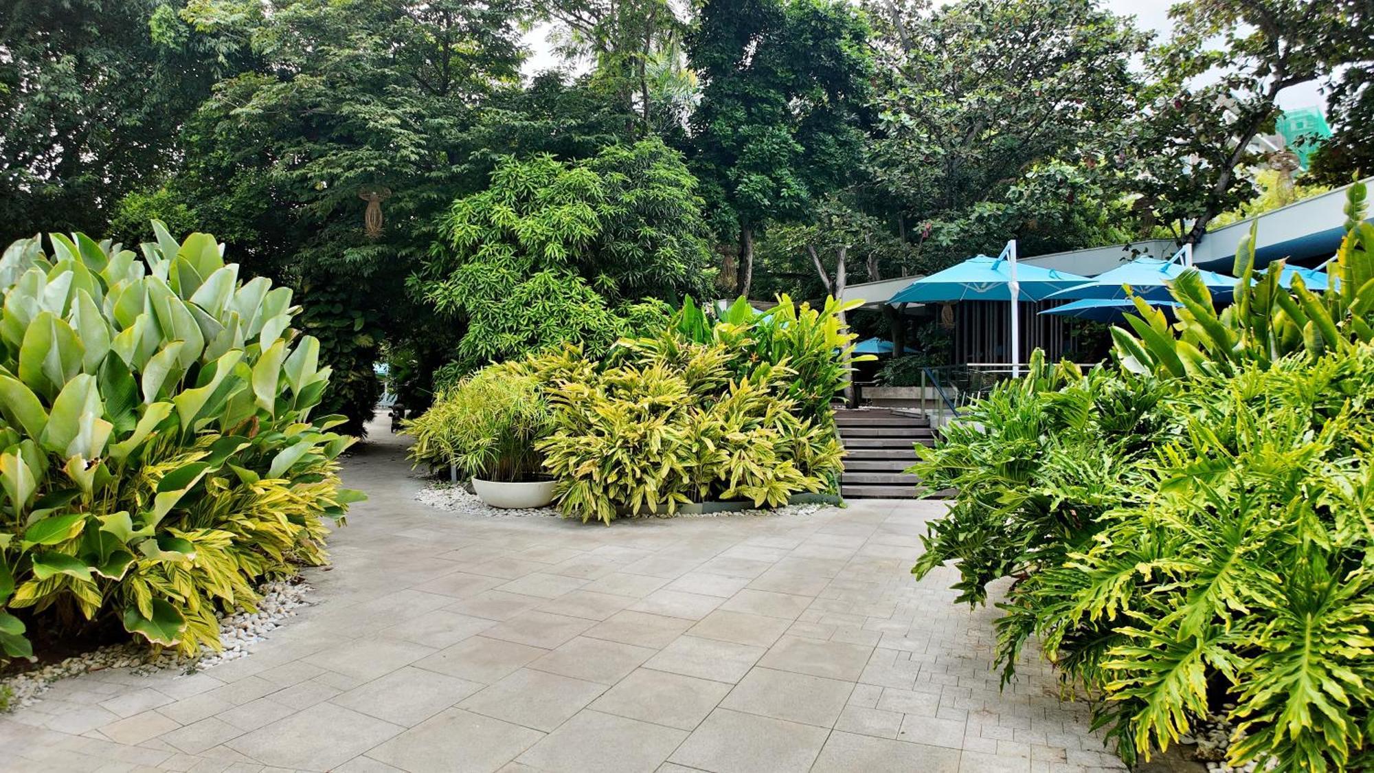 Apartment Dominiks Silent And Quite Classic 1 Bedroom 47 Sqm Tambuli Pool Balcony Mactan Up To 6 People Lapu-Lapu City